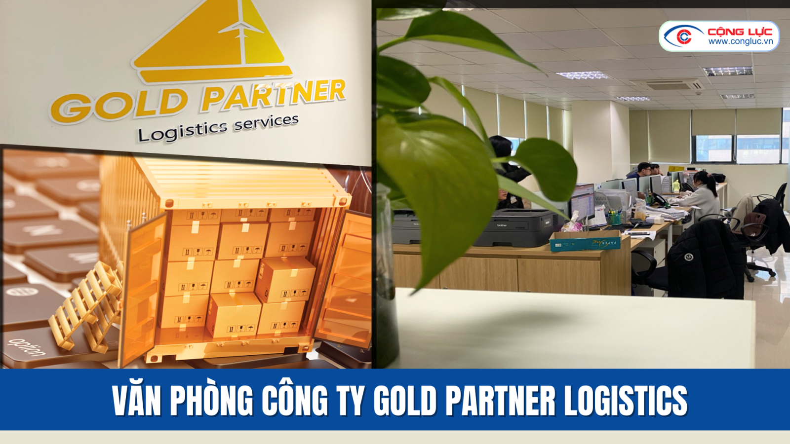Cộng Lực đối tác vàng của Công ty Gold Partner Logistics tại toà nhà thành đạt 1