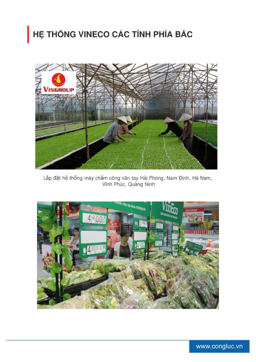 Hồ sơ năng lực công ty cộng lực hải phòng 36