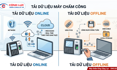Máy Chấm Công Tải Dữ Liệu Online Và Offline Là Gì? Nên Chọn Cách Nào Cho Doanh Nghiệp?