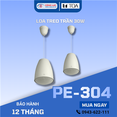 Loa treo trần 30W Toa PE-304