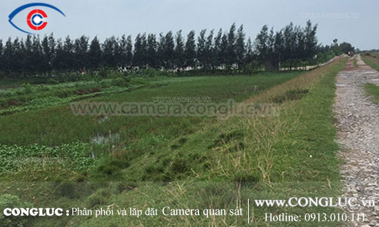Lắp đặt camera Hikvision trang trại chăn nuôi tại Thái Bình